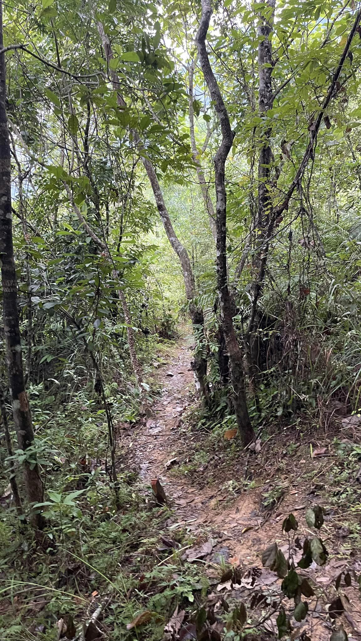 Tour of Hoang Su Phi Trekking to Bac Ha 10 Days